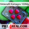 Sildenafil Kamagra 100Mg 13